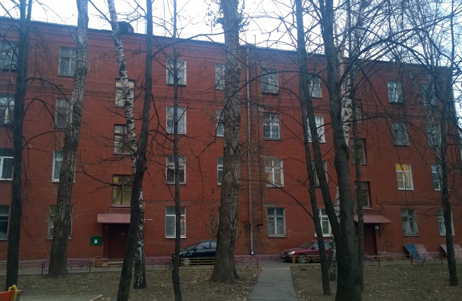 5донской